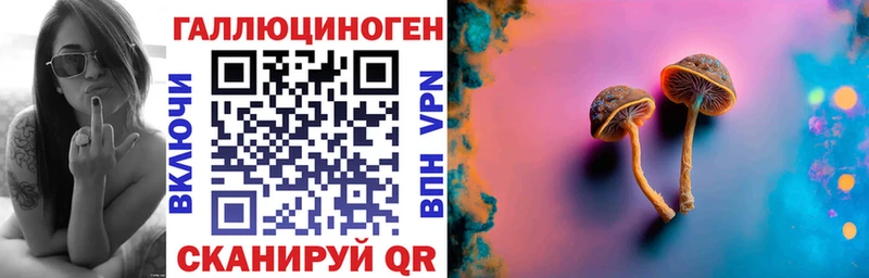 Псилоцибиновые грибы Cubensis  Купить где  Шлиссельбург 